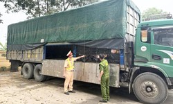 Chặn đứng hơn 5 tấn lạp xưởng không rõ nguồn gốc đang trên đường về Hà Nội