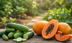 Dược thiện từ đu đủ: 6 loại thực phẩm không nên ăn cùng