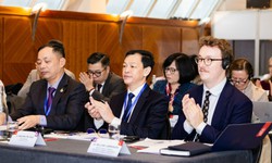 Việt Nam - Vương quốc Anh tăng cường trao đổi kinh nghiệm trong chăm sóc y tế dự phòng