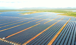 4 công ty 'họ' EA Súp vi phạm lĩnh vực chứng khoán