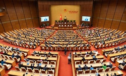 Chính thức xác nhận 500 ông, bà đủ tư cách đại biểu Quốc hội khóa XVI