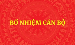 Thủ tướng tiếp nhận, bổ nhiệm nhân sự Bộ Dân tộc và Tôn giáo, Bộ NN&amp;MT và giao điều hành ĐHQGHN