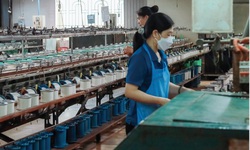 Tơ tằm Á Châu vi phạm chứng khoán