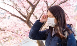 Viêm kết mạc mùa xuân dùng thuốc và chăm sóc như thế nào?