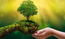 Chuyển đổi số – xanh: Động lực lớn nhưng chưa dễ 'bật công tắc' cho nông nghiệp