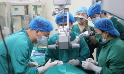 'Biến' người bệnh từ nguy cơ mù lòa đến sáng mắt: Bệnh viện Đức Giang làm chủ kỹ thuật ghép giác mạc