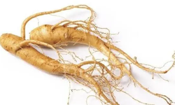 4 loại thảo dược cần tránh khi uống thuốc huyết áp, trong đó có trà xanh