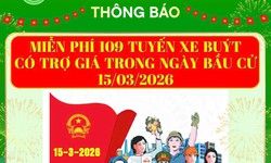 TP Hồ Chí Minh: Miễn phí vé xe buýt và metro số 1 trong ngày bầu cử 15/3