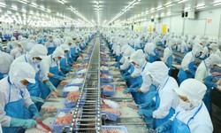 Theo dõi mua đối với cổ phiếu VHC