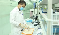 Bộ Y tế nhắc chuẩn hóa kiểm nghiệm xác định độc tố cereulide với sữa, sản phẩm dinh dưỡng