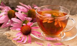 3 tác dụng phụ ít được biết khi dùng cúc tím kéo dài