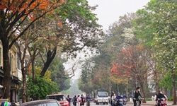 Miền Bắc sương mù vào sáng sớm, nắng mạnh vào trưa chiều