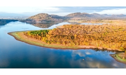 Đẹp ngỡ ngàng rừng khộp mùa thay lá