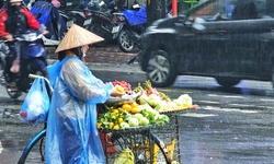 Miền Bắc mưa dông, miền Nam nắng nóng trong ngày Quốc tế Phụ nữ 8/3