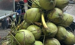 Bác sĩ tim mạch gợi ý 3 đồ uống cho người huyết áp cao