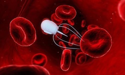 Robot DNA siêu nhỏ săn lùng virus và đưa thuốc vào cơ thể