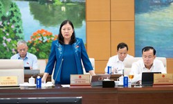 Vụ 300 tấn thịt lợn bệnh vào trường học: ĐBQH đề nghị tổng kiểm tra toàn quốc