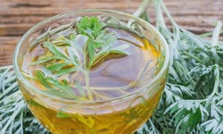 3 cách sử dụng ngải cứu làm sáng da hiệu quả tại nhà