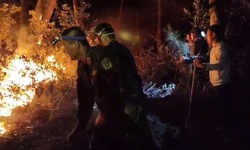 Nắng nóng gay gắt, liên tiếp xảy ra cháy rừng ở Nghệ An