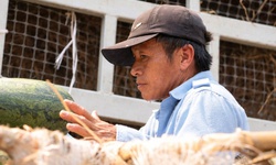 Người lao động Nghệ An oằn mình mưu sinh dưới cái nắng như đổ lửa