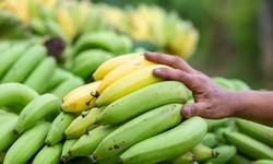 Chuối chín hay chuối xanh tốt hơn cho giảm mỡ?