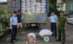 Ngăn chặn hơn 12 tấn chân lợn đông lạnh bốc mùi hôi ra thị trường