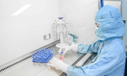 Vinmec làm chủ kỹ thuật khó bậc nhất, mở lại hy vọng cho bệnh nhân ung thư máu kháng trị