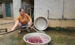 Phạt trang trại nuôi lợn hơn 400 triệu đồng vì xả thải vượt quy chuẩn