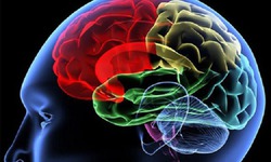 Công nghệ kích thích não sâu thế hệ mới - đột phá trong điều trị bệnh Parkinson