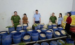 Quảng Ninh: Chủ tịch UBND xã, phường chịu trách nhiệm toàn diện về an toàn thực phẩm trên địa bàn