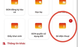 Không thấy số thuê bao di động trên VNeID cần làm gì?