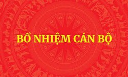 Danh sách Chủ tịch, Phó Chủ tịch UBND 31 tỉnh, thành phố vừa được Thủ tướng phê chuẩn