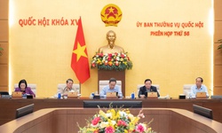 Đề xuất giám sát cải cách thủ tục hành chính và an toàn thực phẩm năm 2027