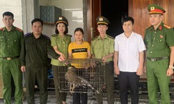 Người dân tự nguyện giao nộp 2 cá thể động vật quý hiếm