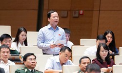 Sớm sắp xếp thôn, tổ dân phố, ban hành chế độ cho lực lượng không chuyên trách