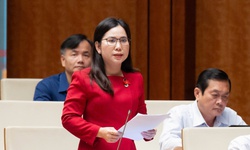 ĐBQH đề xuất coi việc sinh đủ 2 con là trách nhiệm xã hội gắn với mục tiêu phát triển bền vững của đất nước