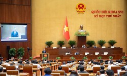 Sửa 4 luật thuế: Bỏ quy định cứng về ngưỡng doanh thu chịu thuế giúp HKD 'dễ thở' hơn