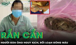 Bị rắn chàm quạp cắn, người đàn ông sưng nề, rối loạn đông máu