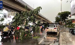 Không khí lạnh tiến sát biên giới nước ta, cảnh báo dông lốc rất mạnh từ đêm nay