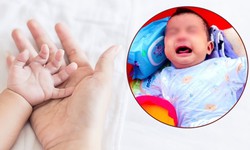 Liên tiếp các vụ việc trẻ sơ sinh bị bỏ rơi: Điều kiện, thủ tục nhận con nuôi ra sao?