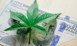 Bước ngoặt lịch sử trong chính sách kiểm soát cần sa tại Mỹ