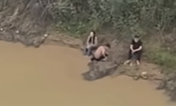 Hai nam sinh lao xuống sông, kịp thời cứu người nhảy cầu