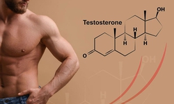 Dấu hiệu suy giảm nội tiết tố nam giới và giải pháp khắc phục an toàn