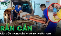 Rắn độc bò vào nhà cắn, người bệnh 41 tuổi phải cấp cứu trong đêm