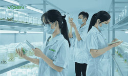 Cây giống ViGen - Khát vọng nâng tầm giá trị nông sản Việt bằng công nghệ sinh học 4.0