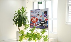 Cấm thuốc lá mới, mở rộng môi trường không khói thuốc: Kinh nghiệm quốc tế và bài toán thực thi tại Việt Nam