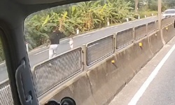 Video khoảnh khắc tài xế băng qua làn ngược chiều cứu cháu bé khỏi tình huống nguy hiểm