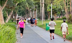 Người bệnh tim mạch nên tập luyện vào khung giờ nào là tốt nhất?