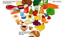 Dinh dưỡng phòng bệnh: Vì sao Mỹ 'đảo chiều' cách ăn sau nhiều năm?