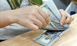 Tỷ giá USD ngày 9/4 tiếp đà giảm